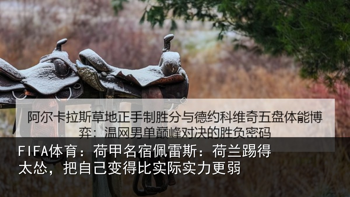 FIFA体育：荷甲名宿佩雷斯：荷兰踢得太怂，把自己变得比实际实力更弱